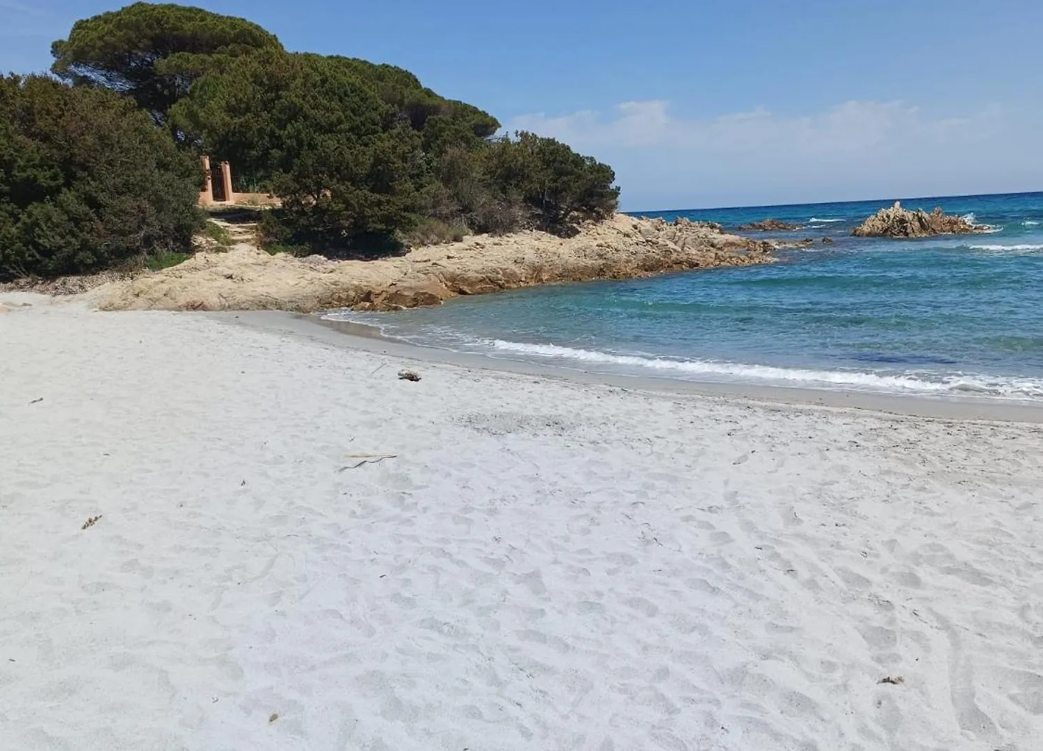 Studio'S Pavese Olbia Lejlighed