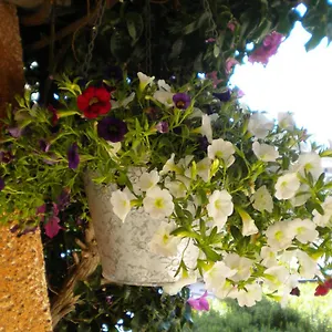 Su Paradisu Olbia