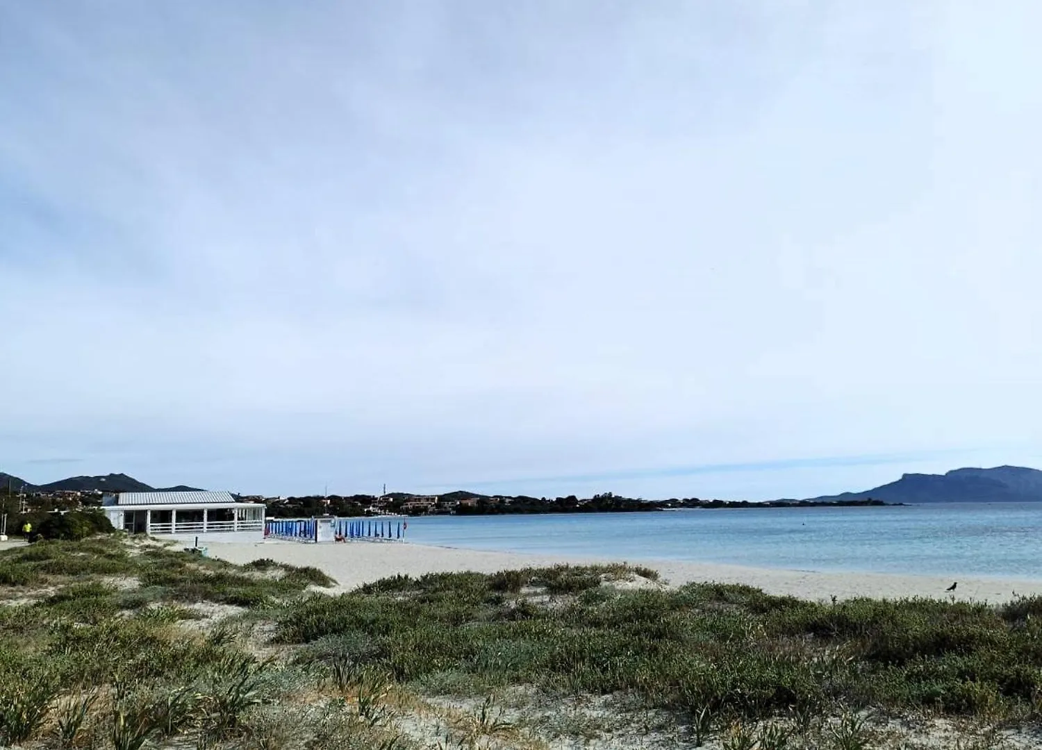 Studio'S Pavese Olbia Apartment